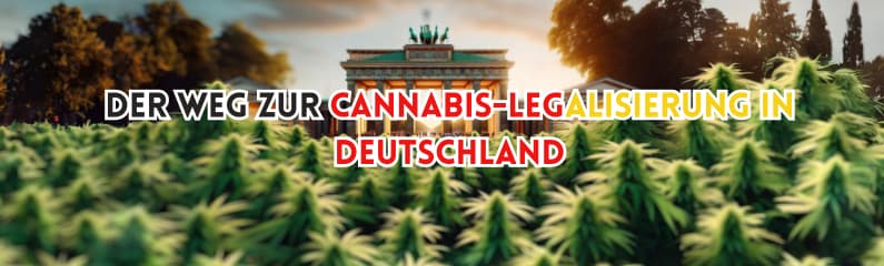 Der Weg zur Cannabis-Legalisierung in Deutschland 2024: Ein Überblick